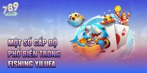 Những mức độ chơi phổ biến của Fishing yilufa