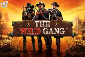 Tối ưu hóa lợi nhuận với mẹo quay slot đỉnh cao